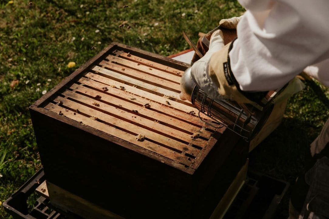 Honeypot Harvest 11